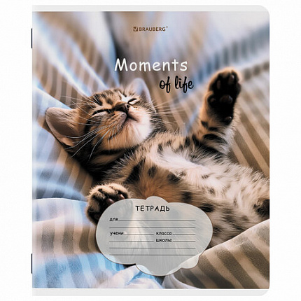 Тетрадь 18 л. BRAUBERG клетка, обложка картон, КОТЯТА, 107292