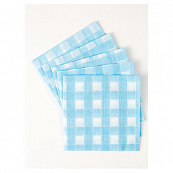 Салфетки универсальные, 35х35 см, КОМПЛЕКТ 5 шт., 50 г/м2, вискоза (спанлейс), PACLAN "Practi"