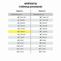 Тетрадь А5 48 л. ПЗБМ, скоба, клетка, Soft Touch, выборочный лак, флуоресцент, НеонТач (Зеленая), 0288, 28886