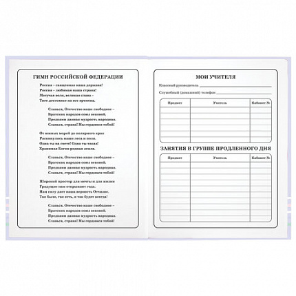 Дневник 1-4 класс 48 л., твердый, ЮНЛАНДИЯ, глянцевая ламинация, с подсказом, "Совушка", 106594