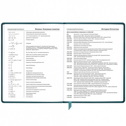 Дневник 1-11 класс 48 л., кожзам (твердая), печать, резинка, конверт, BRAUBERG, "Bright Lion", 106577