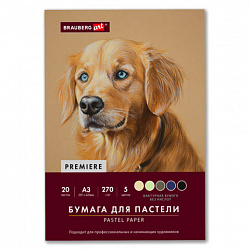 Бумага для пастели ФАКТУРНАЯ А3 в папке, 20 листов 5 цветов, 270 г/м2, BRAUBERG ART,, 117756
