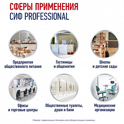 Средство универсальное для удаления пятен 500 мл, СИФ "Professional", распылитель