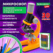 Микроскоп с подсветкой, 30 предметов, в т.ч. набор из 12 микропрепаратов в подарок, увеличение 100х, 400х, 1200х, BRAUBERG KIDS, 391400