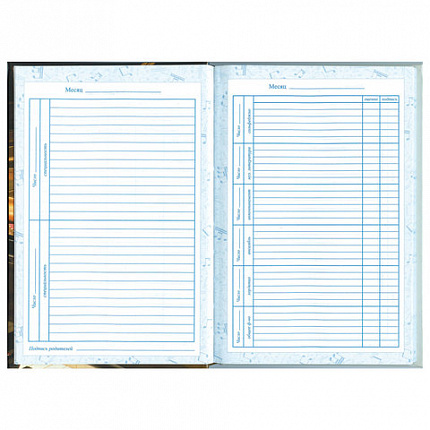 Дневник для музыкальной школы 140х210 мм, 48 л., твердый, BRAUBERG, выборочный лак, справочный материал, "Симфония", 103601