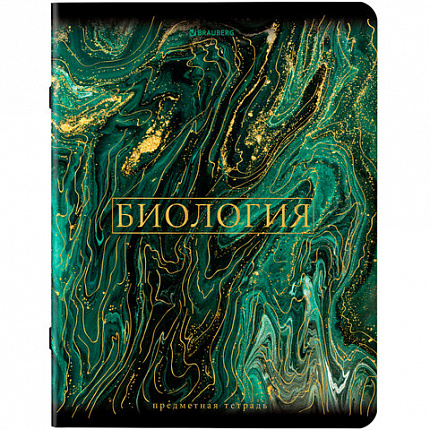 Тетради предметные, КОМПЛЕКТ 12 ПРЕДМЕТОВ, 48 л., SoftTouch, фольга, BRAUBERG, "MARBLE", 404326