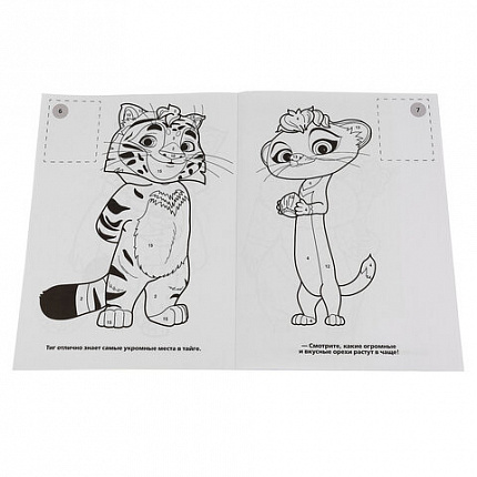 Раскраска с наклейками, АССОРТИ, А4, 214х290 мм, 16 стр., 16 наклеек, УМКА