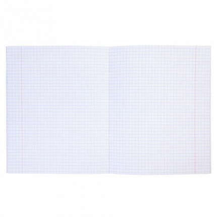 Тетрадь бумвинил А5 48л. скоба, офсет №1, клетка, с полями, СЕРЕБРО Metallic CROCO, H, 48Т5бвВ1