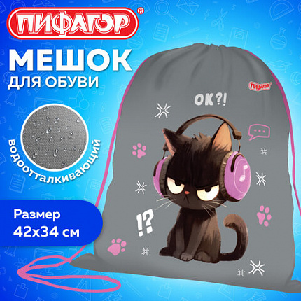 Мешок для обуви ПИФАГОР, 1 отделение, 42х34 см, "Меломан", 274631
