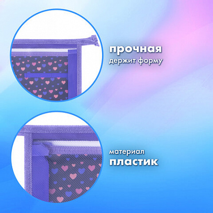 Папка для труда на молнии BRAUBERG А4, 2 отделения, органайзер, "Спящий котенок", 273401