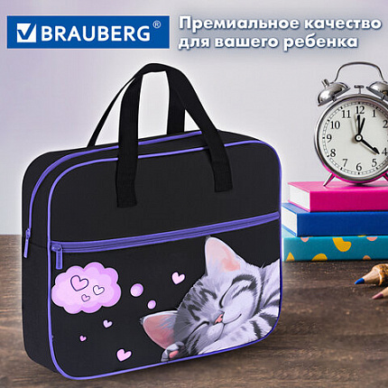 Папка на молнии с ручками BRAUBERG А4, 1 отделение, карман на молнии, 80 мм, "Спящий котенок", 273309