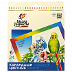 Карандаши цветные ЛУЧ "Школа Творчества", 24 цвета, трехгранные, натуральное дерево, 30С 1808-08