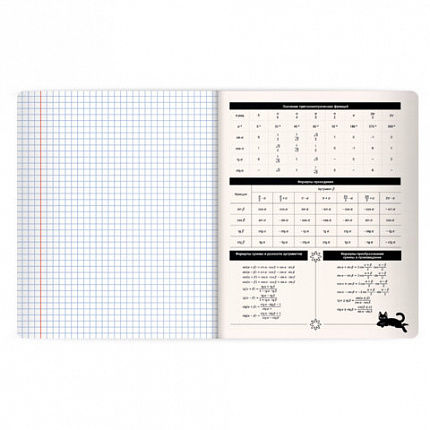 Тетради предметные, КОМПЛЕКТ 12 ПРЕДМЕТОВ 48л, пластиковая обложка, BRAUBERG "КОТ-НЕПОСЕДА", 405542