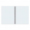 Тетрадь А4, 80 л., BRAUBERG, гребень, клетка, глянцевый лак, WILD, 404052