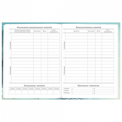 Дневник 5-11 класс 48 л., твердый, BRAUBERG, глянцевая ламинация, с подсказом, "Космический корабль", 107189