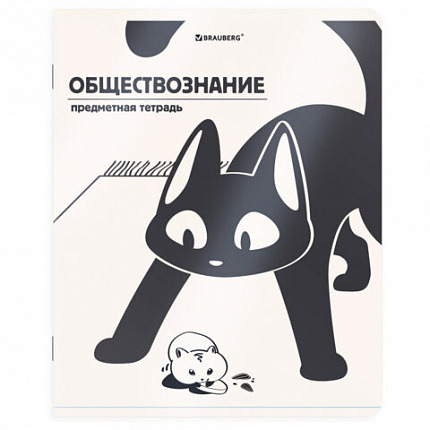 Тетради предметные, КОМПЛЕКТ 12 ПРЕДМЕТОВ 48 л., пластиковая обложка, BRAUBERG "КОТ-НЕПОСЕДА", 405542