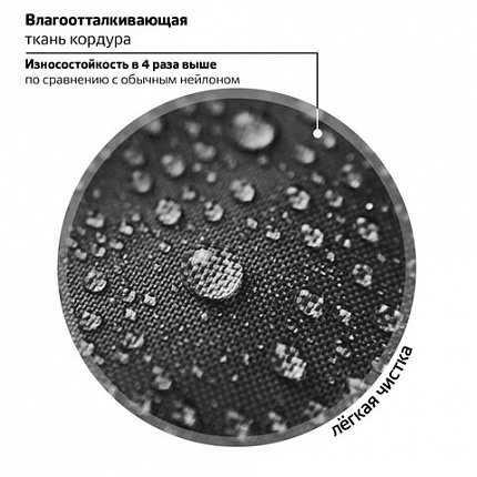 Ранец BRAUBERG SHINY, 2 отделения, с брелком, "Царь зверей", светящийся рисунок, 38х28х14 см, 272039