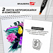 Скетчбук для маркеров, бумага 160 г/м2, 210х297 мм, 50 л., гребень, подложка, BRAUBERG ART CLASSIC, "Неон", 115077