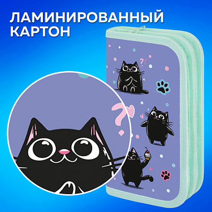 Пенал ПИФАГОР, 2 отделения, ламинированный картон, 19х11 см, "Счастливые коты", 273481