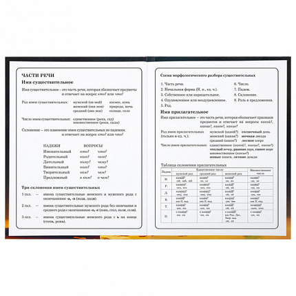 Дневник 1-4 класс 48 л., твердый, BRAUBERG, глянцевая ламинация, с подсказом, "Милый котик", 106835