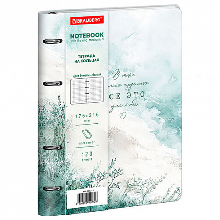 Тетрадь на кольцах А5, 175х215 мм, 120 л., под кожу, BRAUBERG VISTA, "Акварель", 405217