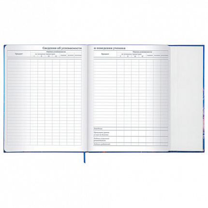 Дневник 1-11 класс 48 л., твердый, BRAUBERG, матовая ламинация, магнитный клапан, закладка-ляссе, с подсказом, "Magic", 107243