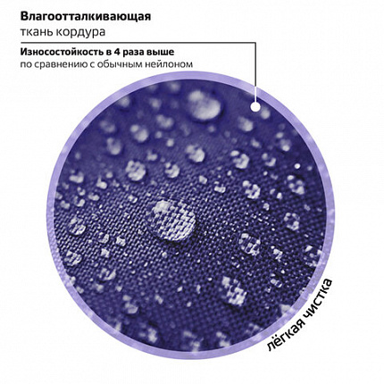 Ранец BRAUBERG PREMIUM, 2 отделения, с брелоком, "Аниме-кот", 38х29х16 см, 272017