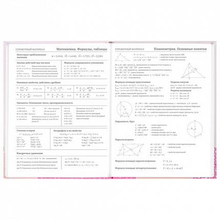 Дневник 5-11 класс 48 л., твердый, BRAUBERG, глянцевая ламинация, с подсказом, "Летний", 106631