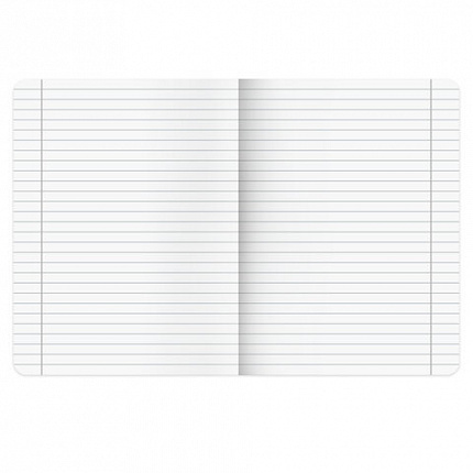 Тетради предметные, КОМПЛЕКТ 12 ПРЕДМЕТОВ, 48 л., SoftTouch, BRAUBERG "VINTAGE", 405183