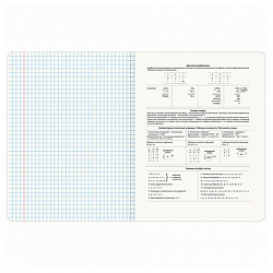 Тетрадь предметная "СИЯНИЕ ЗНАНИЙ" 48 л., глянцевый УФ-лак, ИНФОРМАТИКА, клетка, BRAUBERG, 404526