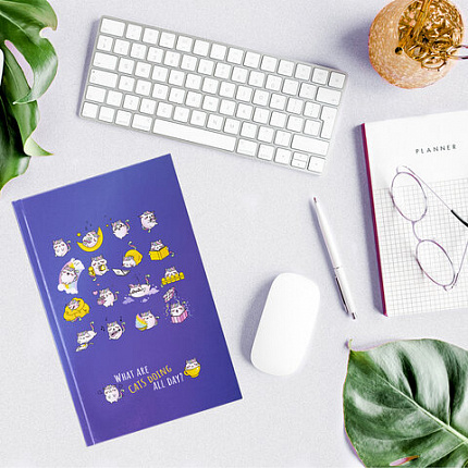 Блокнот А5 (134х206 мм), 80 л., твёрдый, клетка, BRAUBERG KIDS, "Радужные котики", 114417