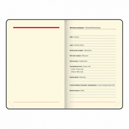 Ежедневник недатированный МАЛЫЙ 100х150 мм А6 BRAUBERG "Status", под кожу, 160 л., красный, 113367