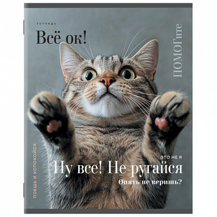 Тетрадь А5, 48 л., STAFF, скоба, клетка, офсет №2 ЭКОНОМ, обложка картон, КОТЫ_АССОРТИ, 405627