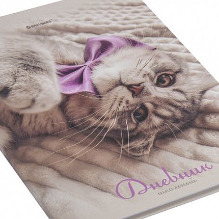 Дневник 5-11 класс 48 л., твердый, BRAUBERG, глянцевая ламинация, с подсказом, "Котик", 107188