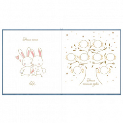 Фотоальбом-анкета детский 23х25 см, 32 листа, стикеры, открытка, конверт, голубой бархат, BRAUBERG, 391420