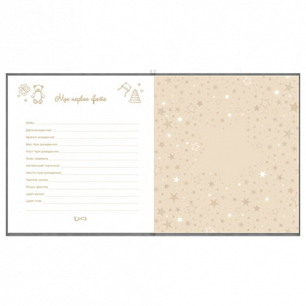 Фотоальбом-анкета детский 23х25 см, 32 листа, стикеры, открытка, конверт, серый бархат, BRAUBERG, 391422