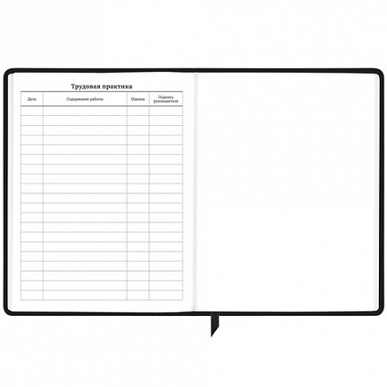 Дневник 1-11 класс 48 л., кожзам (твердая с поролоном), фольга, BRAUBERG HOLIDAY, "Free Spirit", 106568