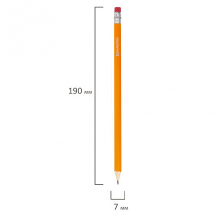 Карандаши чернографитные простые с ластиком HB, ВЫГОДНАЯ УПАКОВКА КОМПЛЕКТ 12 штук, BRAUBERG, 180635