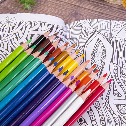 Карандаши цветные BRAUBERG PREMIUM, 24 цвета, трехгранные, грифель мягкий 3,3 мм, 181653