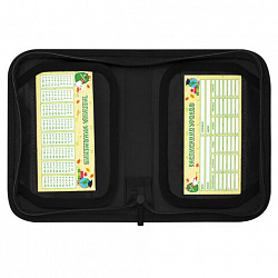 Пенал BRAUBERG KIDS, 1 отделение, 2 откидные планки, 21х14 см, "Неоновый меч", 274546