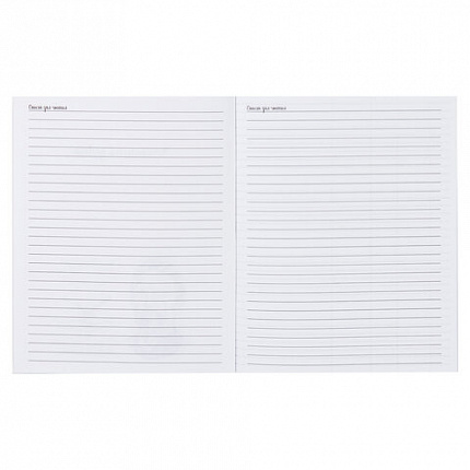 Дневник читательский А5, 40 л., скоба, обложка картон, ПИФАГОР, "Кот учёный", 113447